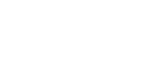 premier league logo white